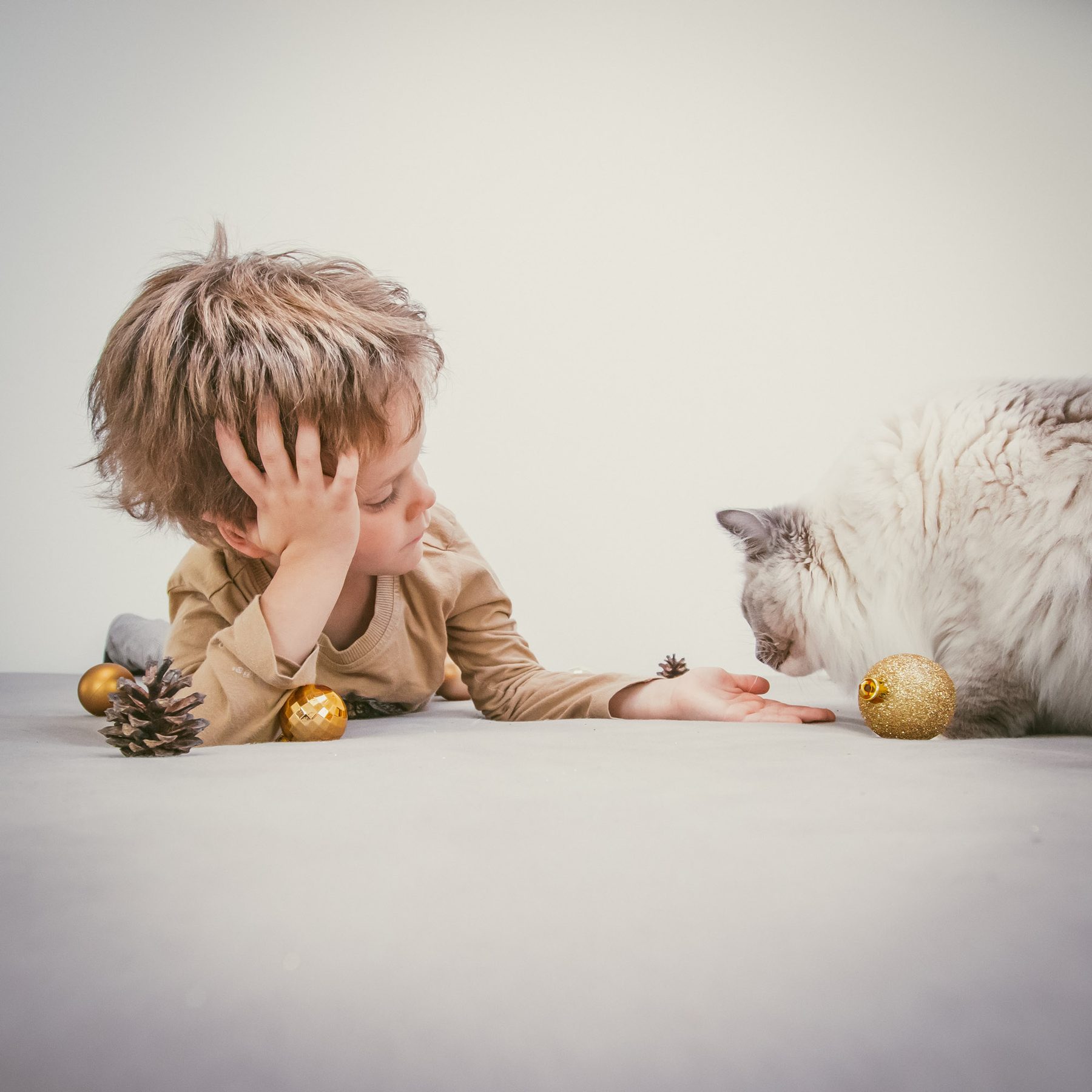 Familienshooting Berge Wallis – Grafisto