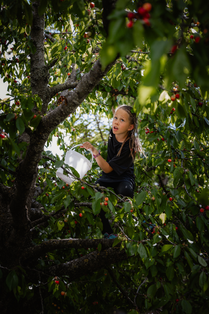 Familienreportage Wallis – Grafisto